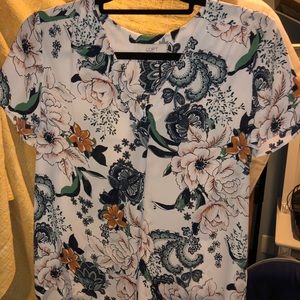 short sleeve loft blouse